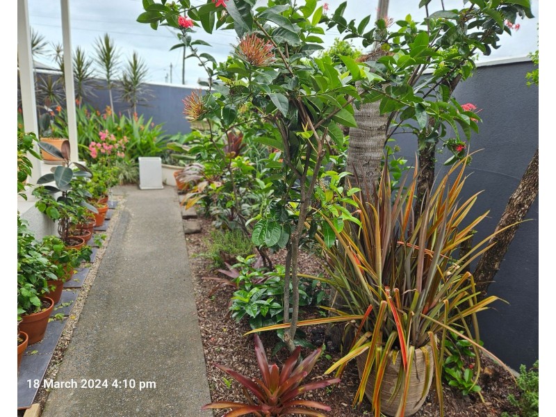 15 Martyn Street, Parramatta Park QLD 4870