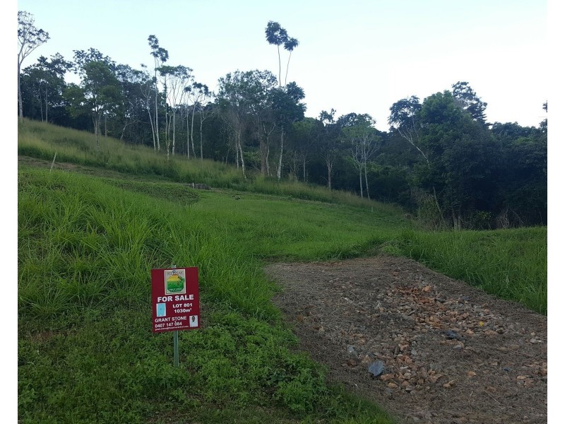 Lot 801 Red Peak Boulevard, Red Peak Forest Estate, Caravonica QLD 4878
