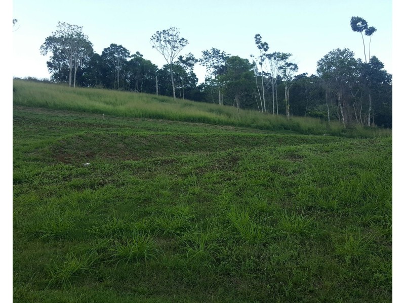 Lot 802 Red Peak Boulevard, Red Peak Forest Estate, Caravonica QLD 4878