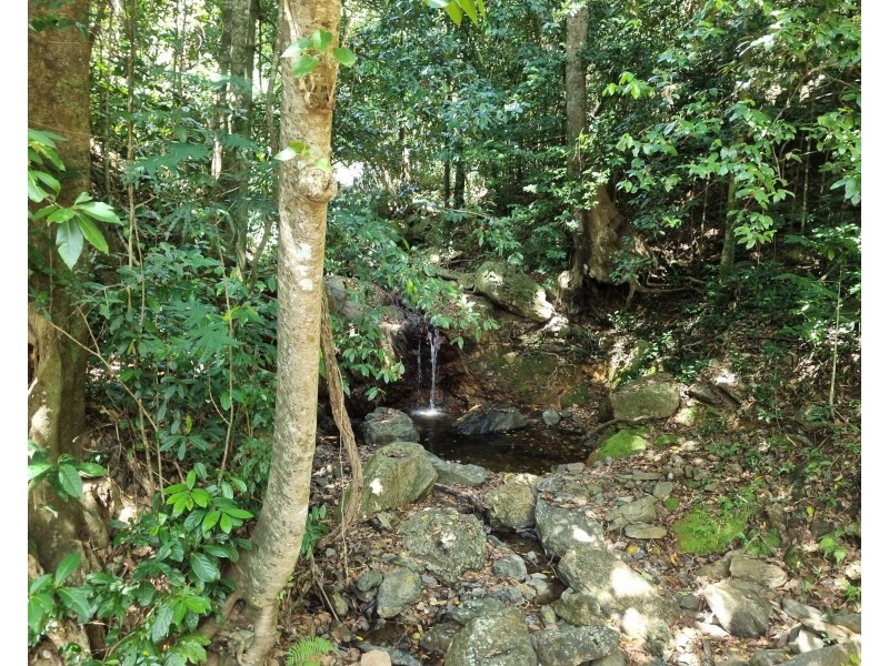 14 Jagera Close, Kamerunga QLD 4870