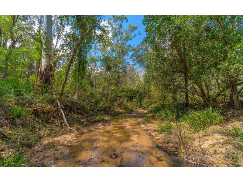 308 Sandy Swamp Road, Coutts Crossing NSW 2460