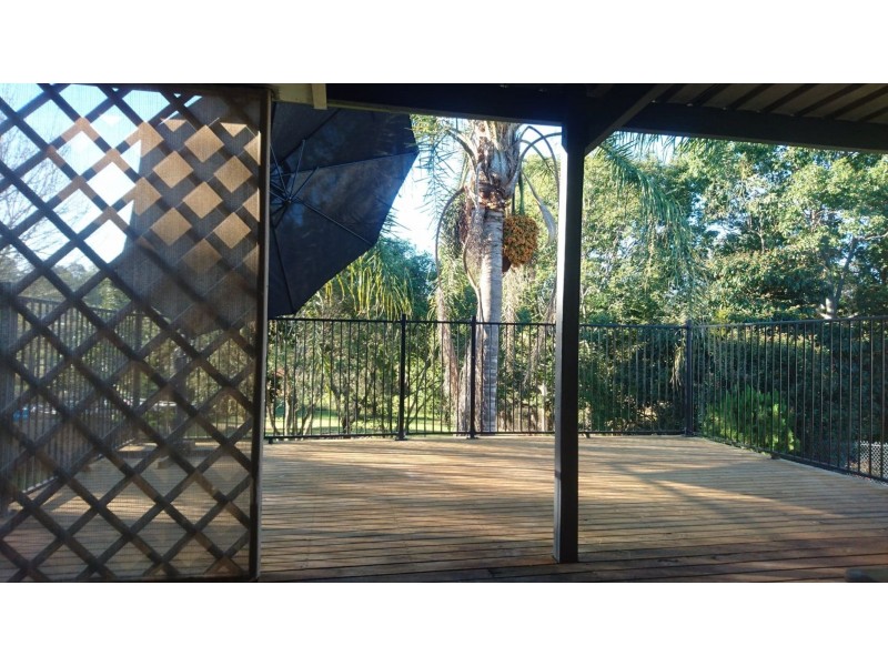 46 Grafton Street, Copmanhurst NSW 2460