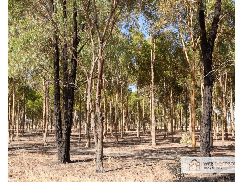 414 Pennys Road, Bungalally VIC 3401