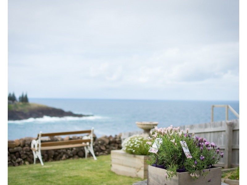 123 Attunga Avenue, Kiama Heights NSW 2533