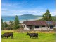 46 Headland Drive, Gerroa NSW 2534
