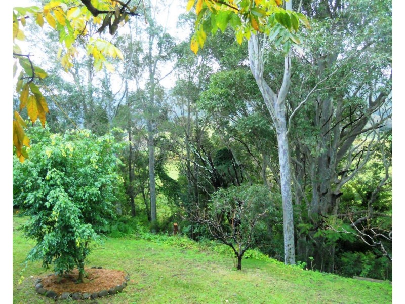 5 Pari Place, Cambewarra NSW 2540