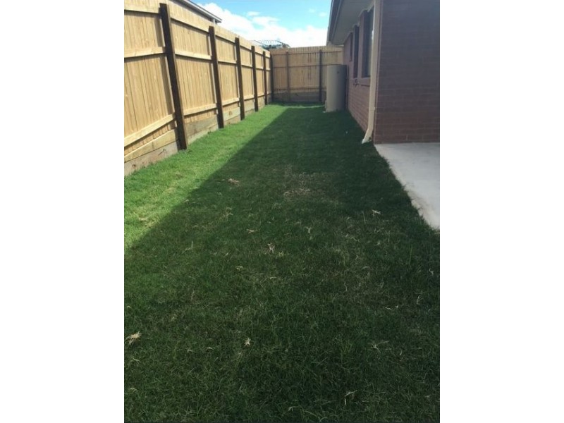 1 Lindsay Lane, Pimpama QLD 4209