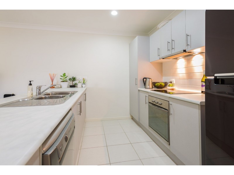 4 Guillemot Street, Upper Coomera QLD 4209