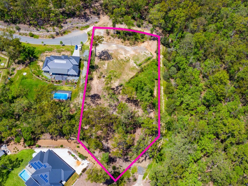 31 Oystercatcher Court, Upper Coomera QLD 4209