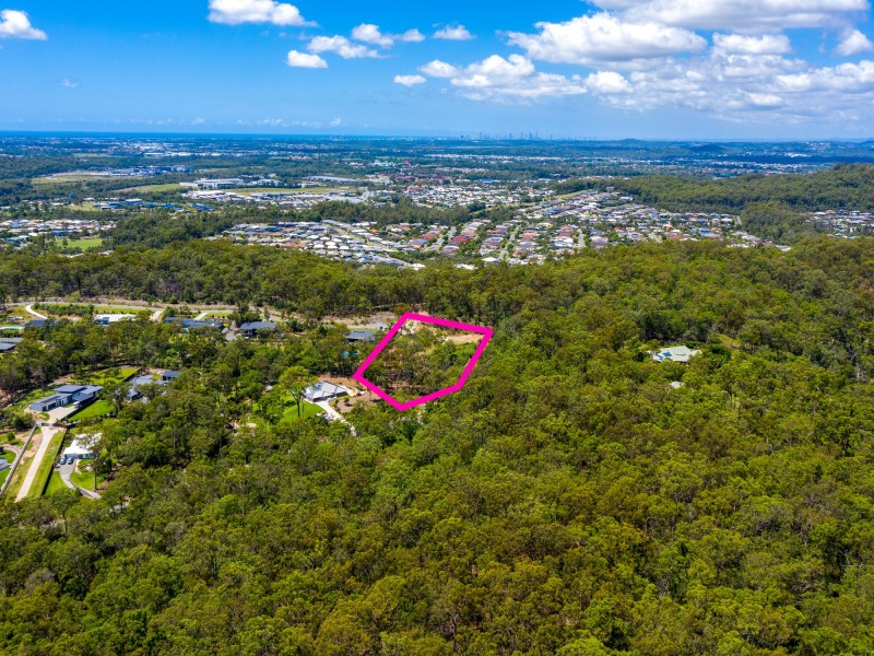 31 Oystercatcher Court, Upper Coomera QLD 4209