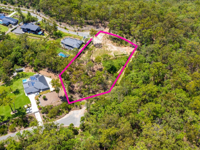 31 Oystercatcher Court, Upper Coomera QLD 4209