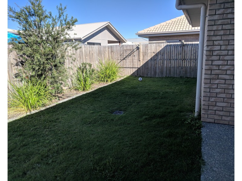 11 Cascade Street, Pimpama QLD 4209