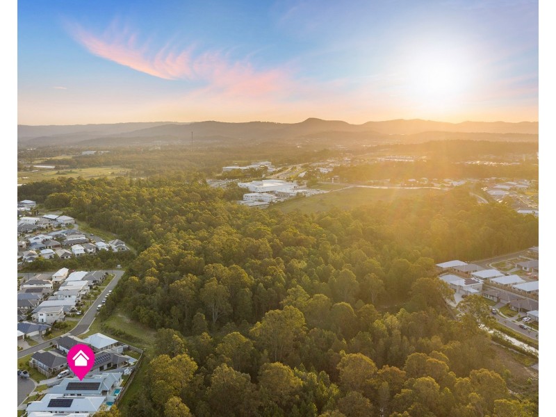 65 Dales Way, Coomera QLD 4209