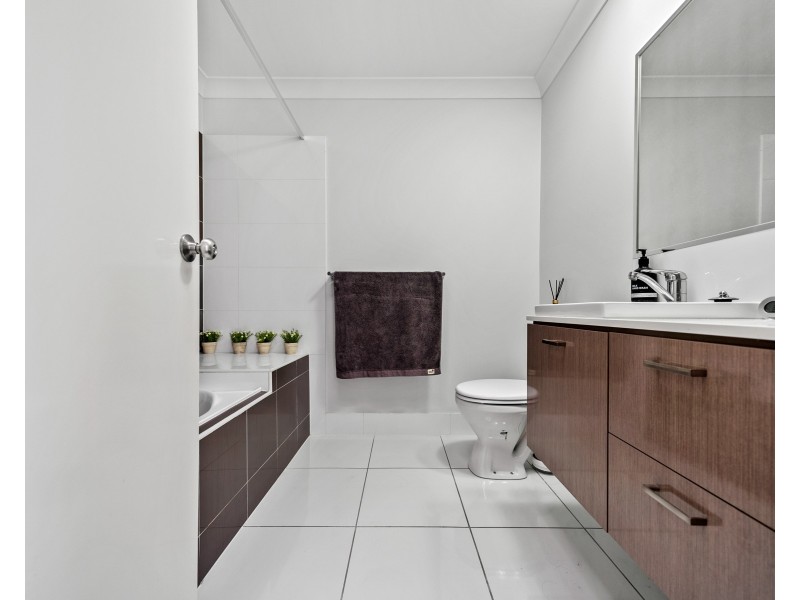 30/31 Lyrebird Street, Loganlea QLD 4131