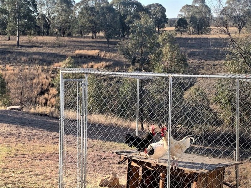 7 Partridge Place, Singleton NSW 2330