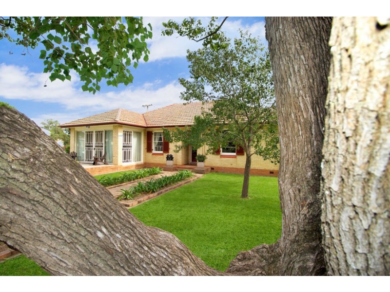 25 Bourke St, Singleton NSW 2330