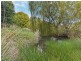 1362 Beaconsfield Road, Oberon NSW 2787