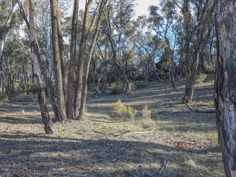 Lot 2/964 Hazelgrove Road, Oberon NSW 2787