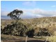Lot 2/964 Hazelgrove Road, Oberon NSW 2787