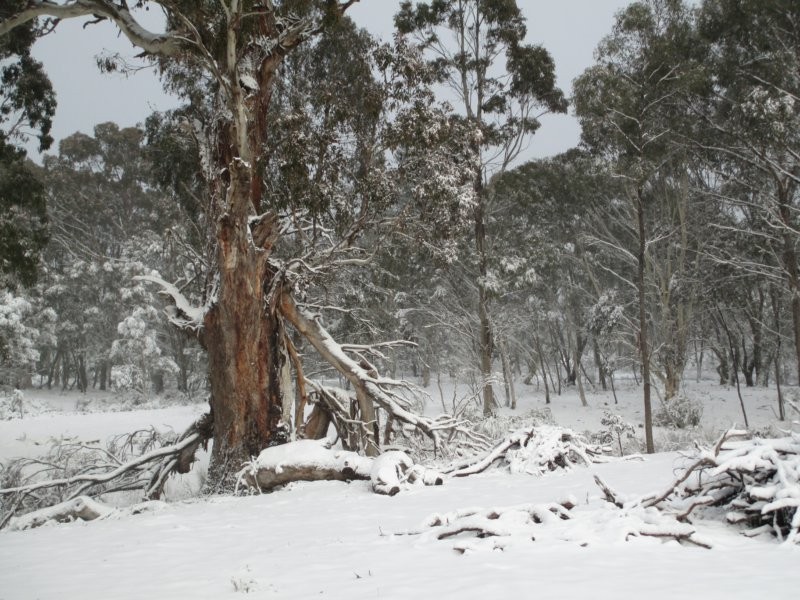 160 Jaunter Road, Oberon NSW 2787