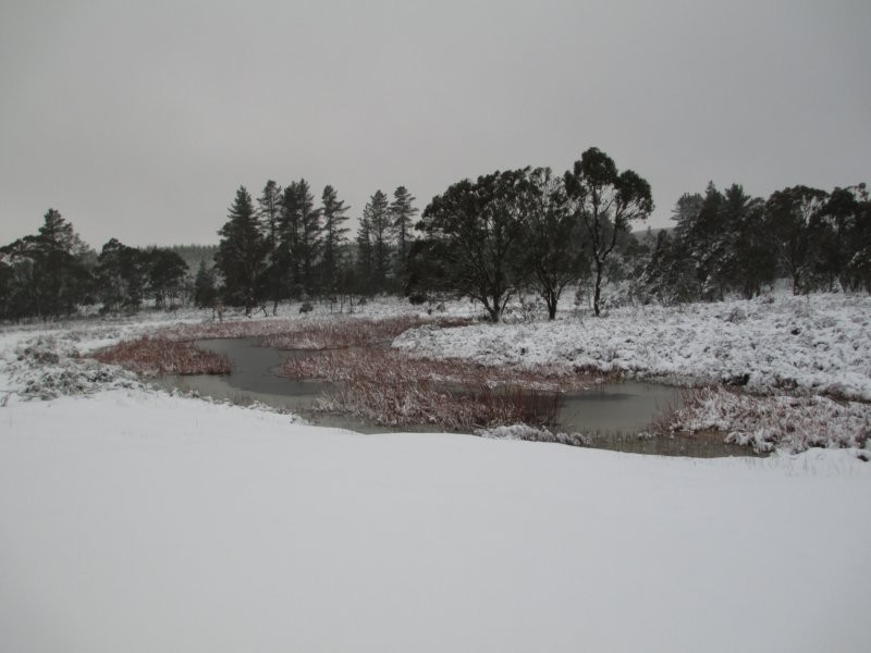 160 Jaunter Road, Oberon NSW 2787