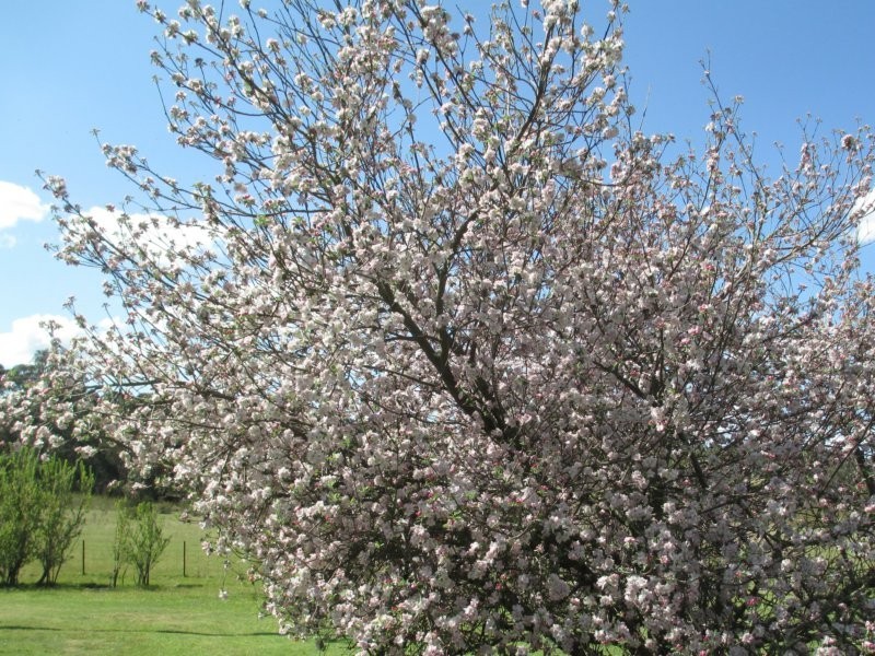 160 Jaunter Road, Oberon NSW 2787