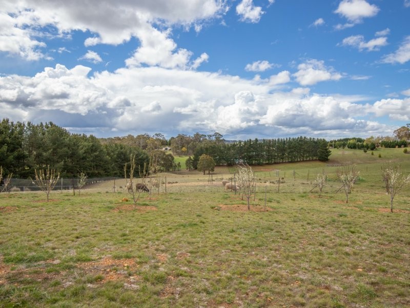 46 Fairview Drive, Oberon NSW 2787