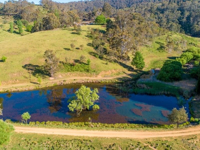 375 Sheepstation Forest Road, Oberon NSW 2787