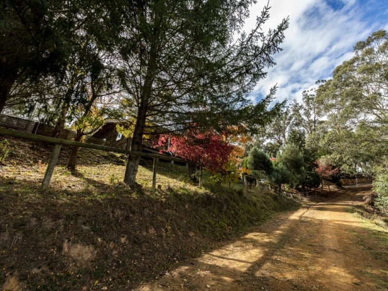 375 Sheepstation Forest Road, Oberon NSW 2787