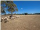 267 McKeons Creek Road, Oberon NSW 2787