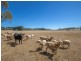 267 McKeons Creek Road, Oberon NSW 2787