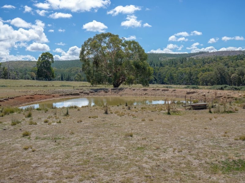 2928 Arkstone Road, Burraga NSW 2795