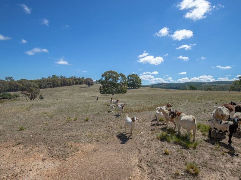 2928 Arkstone Road, Burraga NSW 2795