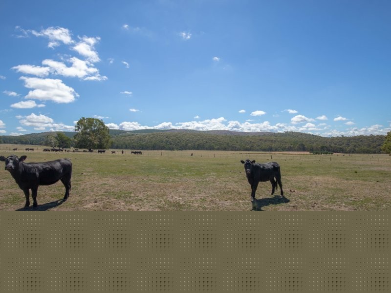 2928 Arkstone Road, Burraga NSW 2795