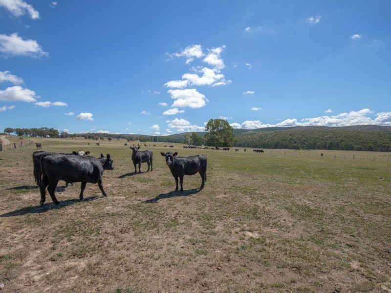 2928 Arkstone Road, Burraga NSW 2795