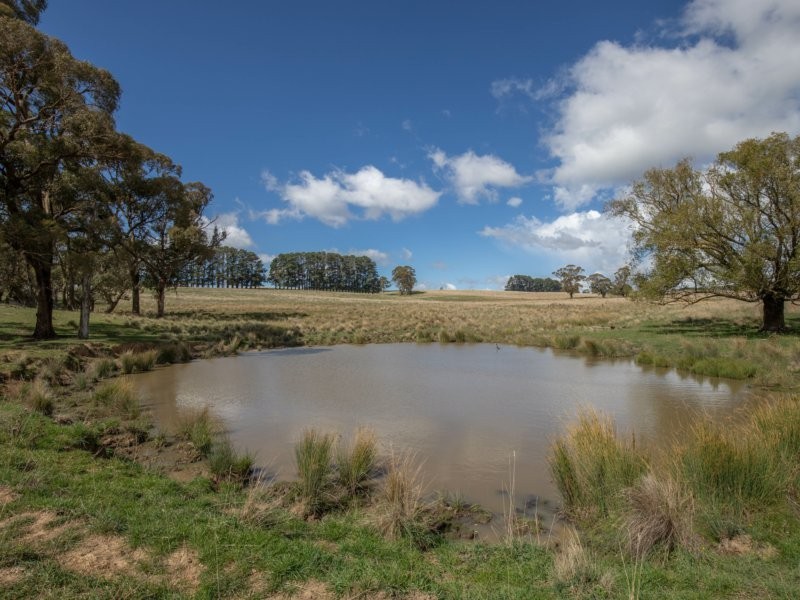 80 Currys Road, Oberon NSW 2787