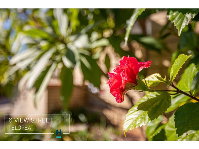 6 View Street, Telopea NSW 2117