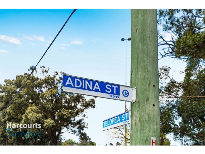 6 Adina Street, Telopea NSW 2117