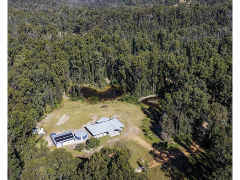 46 Martin Road, Nymboida NSW 2460