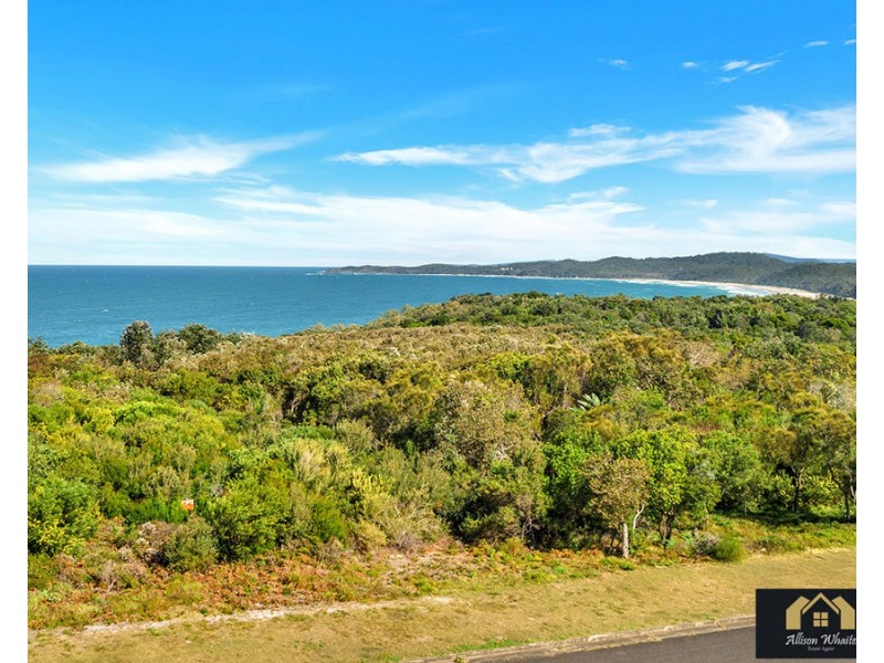 7 Grevillia Parade, Minnie Water NSW 2462