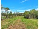 860 Parker Road, Lanitza NSW 2460