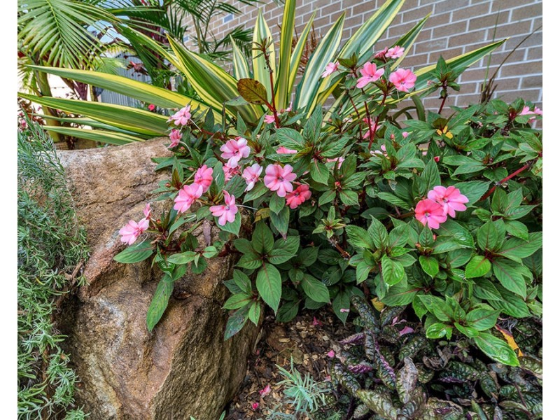 37 Rutland Street, Bonville NSW 2441