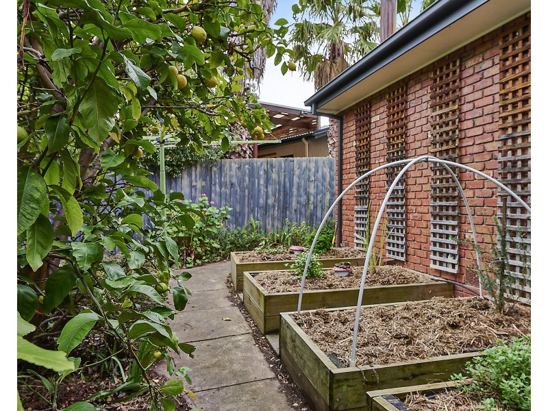 4 Radiata Close, Ringwood North VIC 3134