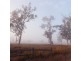 Ripley QLD 4306