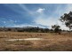 6739 Holbrook Road, Rowan NSW 2650
