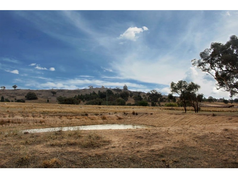 6739 Holbrook Road, Rowan NSW 2650
