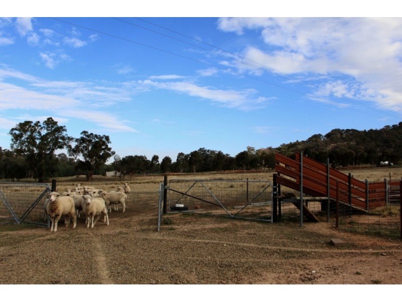 6739 Holbrook Road, Rowan NSW 2650