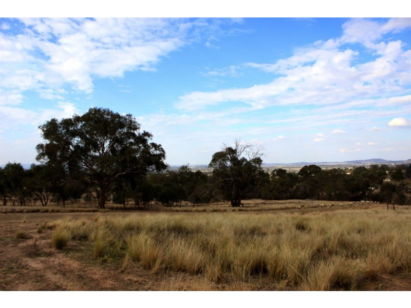 6739 Holbrook Road, Rowan NSW 2650