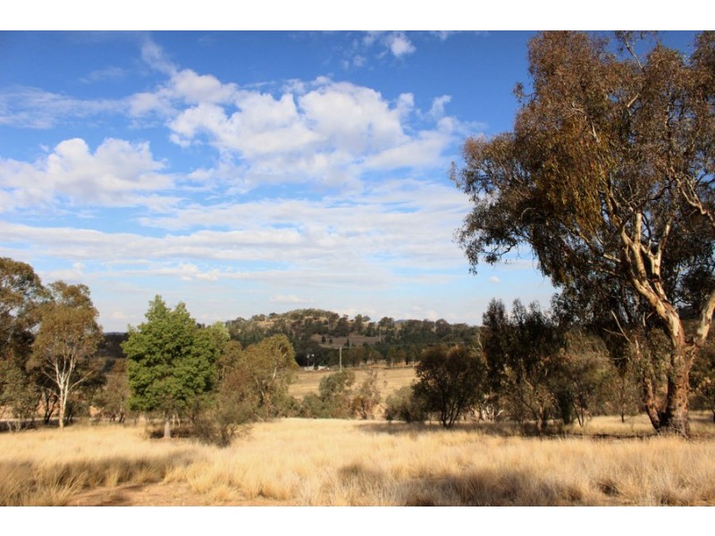 6739 Holbrook Road, Rowan NSW 2650