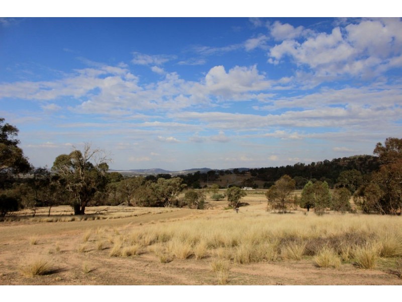 6739 Holbrook Road, Rowan NSW 2650